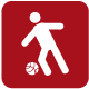 mesenich icon fussball